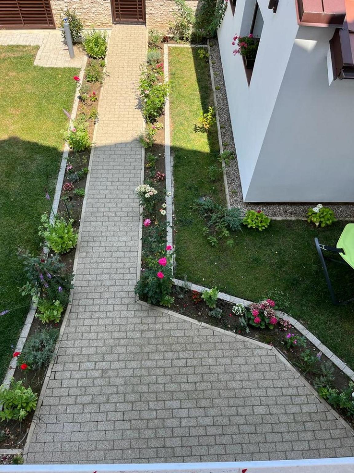 Bed and Breakfast Trend Arad Esterno foto